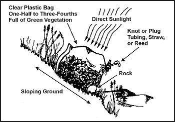 Figure 6-6. Vegetation Bag Still