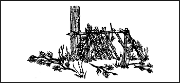 Figure 15-5. Lean-to Made From Natural Shelter